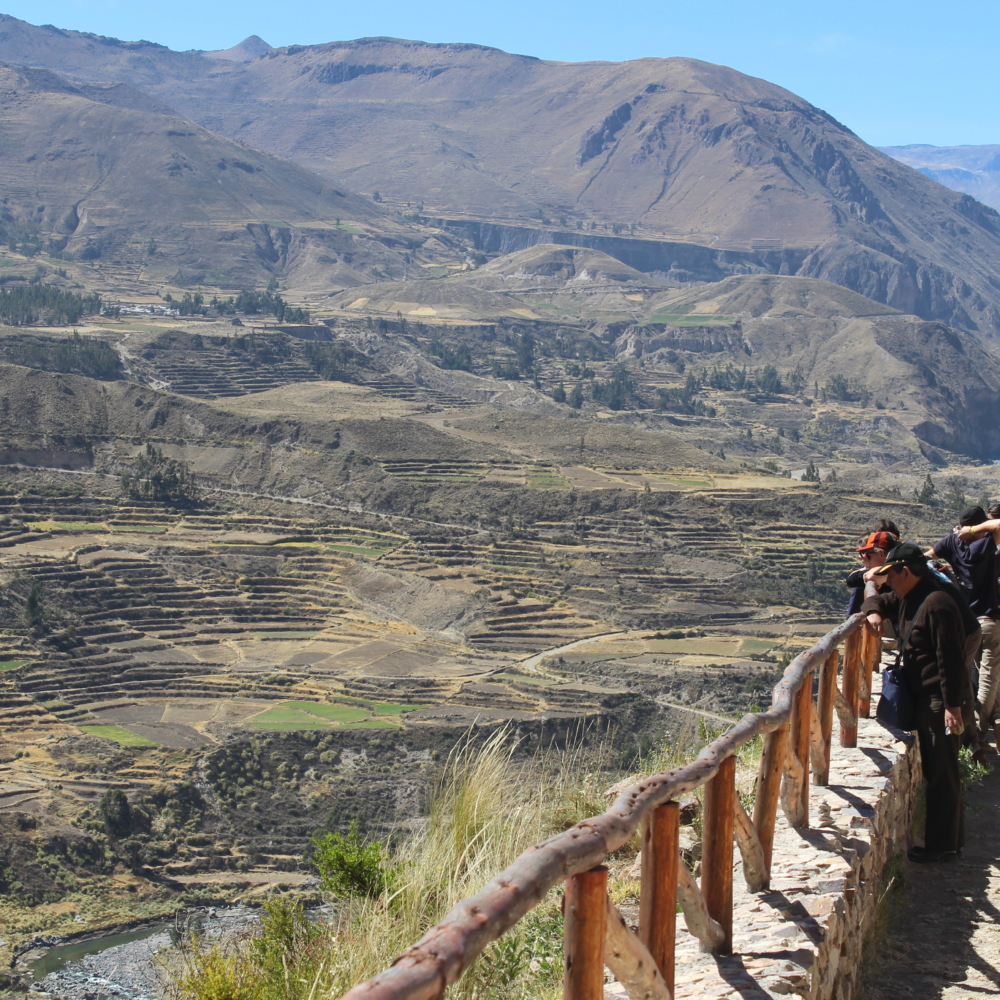 COLCA 9